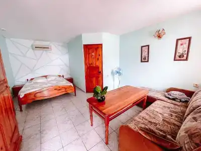 Динамо 1 - 24