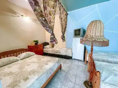 Динамо 1 - 33