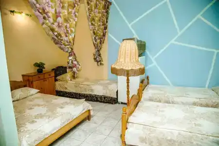 Динамо 1 - 34