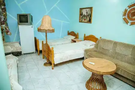 Динамо 1 - 37