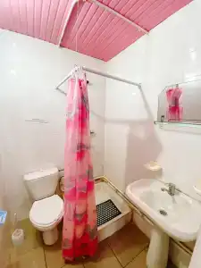 Динамо 1 - 83