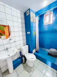 Динамо 1 - 96
