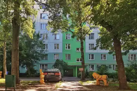 Соколов - 22