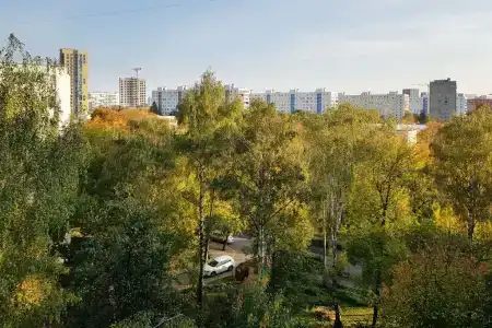 Соколов - 15