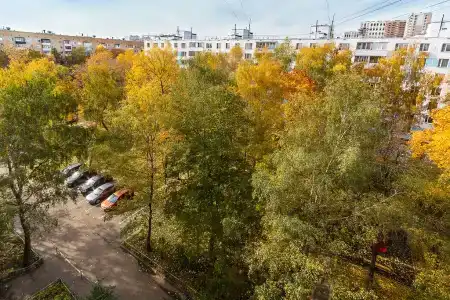 Соколов - 16