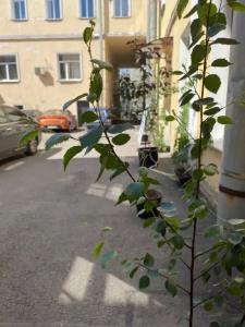 Instahostel on Fontanka - 9