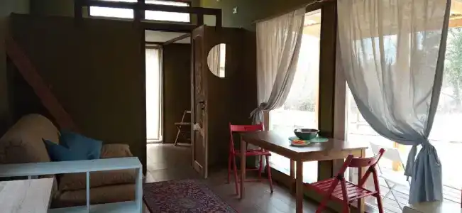 Смородина - 105