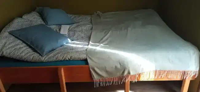 Смородина - 108