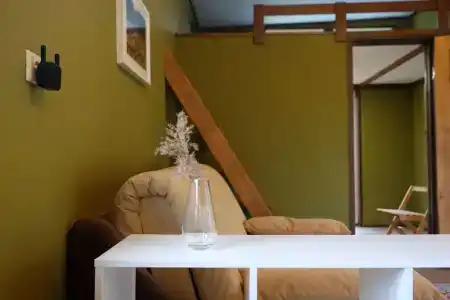 Смородина - 106