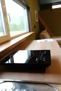 Смородина - 118