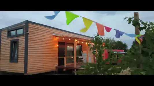 Смородина - 121