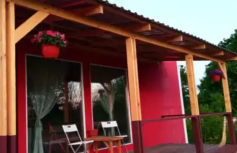 Смородина - 122