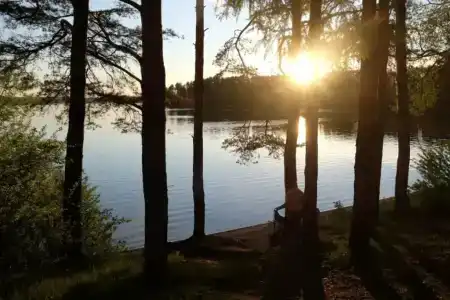 Смородина - 124