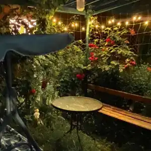 Тихий домик в цветущем саду - 25
