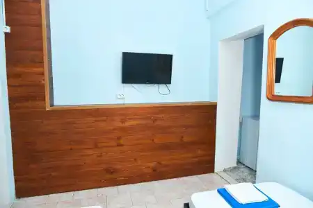 Динамо 1 - 146