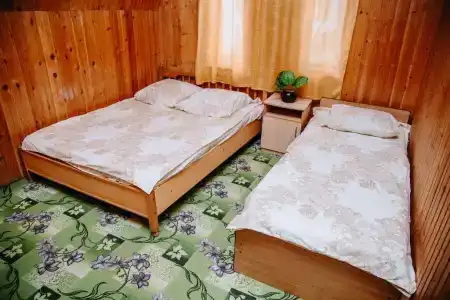 Динамо 1 - 153