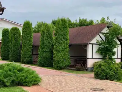 Юпитер - 5