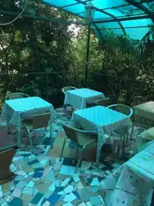 Желанный гость - 4