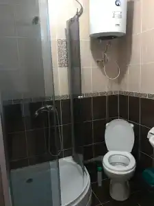 Инжир - 36