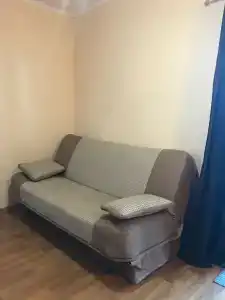 Инжир - 33