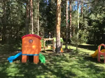 Иволга - 2