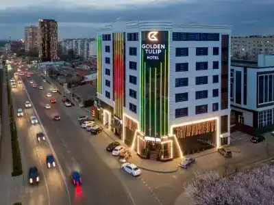 Golden Tulip - 80