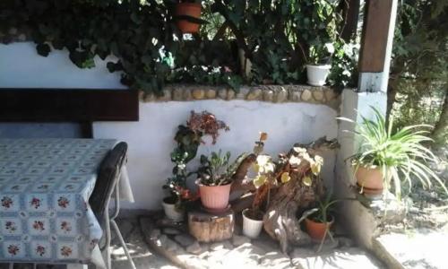 У Маргариты - 0