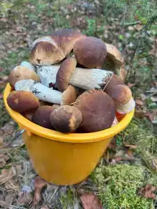 Любимый Уголок - 13