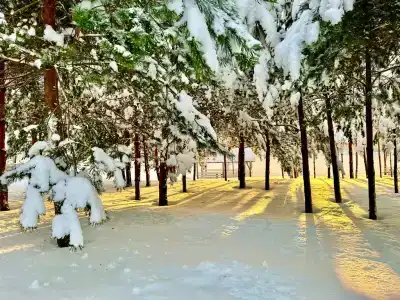 Любимый Уголок - 24