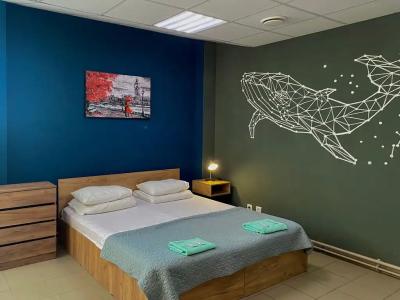 Loft Ptz - 35