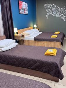 Loft Ptz - 37
