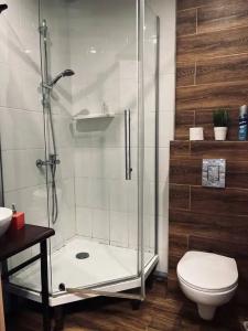 Loft Ptz - 55