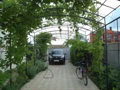 Белая - 0