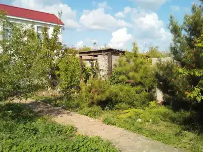 Белая - 3