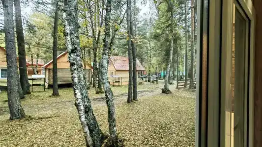 Архыз Форест Эко - 76
