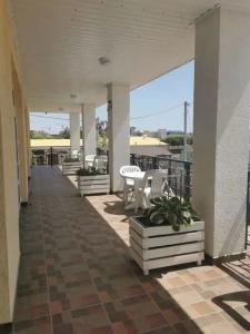 МореЛето - 12