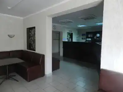 Катальпа - 2