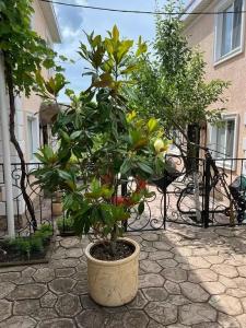 Солнечный - 20