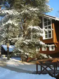 Green Forest ecoclub - 3