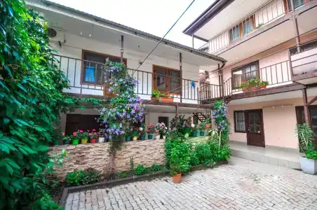 Елена - 1