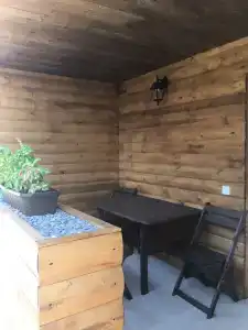 Катальпа - 11