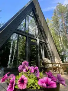 Сосны - 2