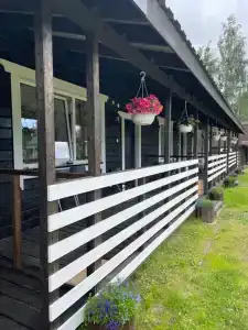 Сосны - 1