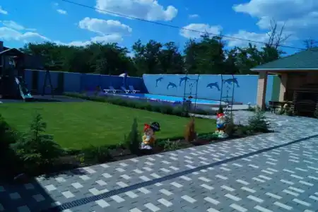 Семицветик - 5