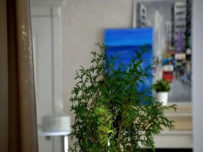 Тор - 12