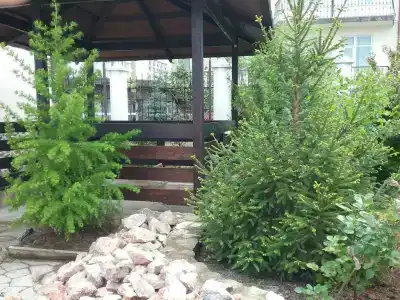 Гостевой дом на Луговой 22 - 14