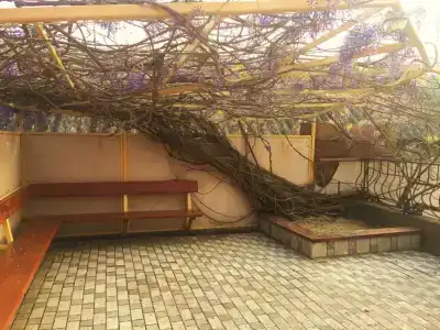 Солнечный бриз - 4