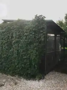 Московская 393 - 40