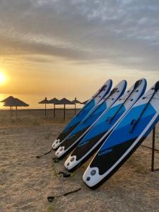 Золотые пески - 26