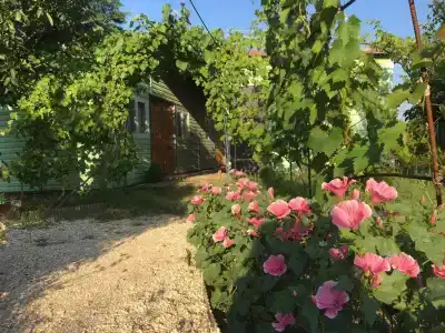Номера на улице Ленина - 1